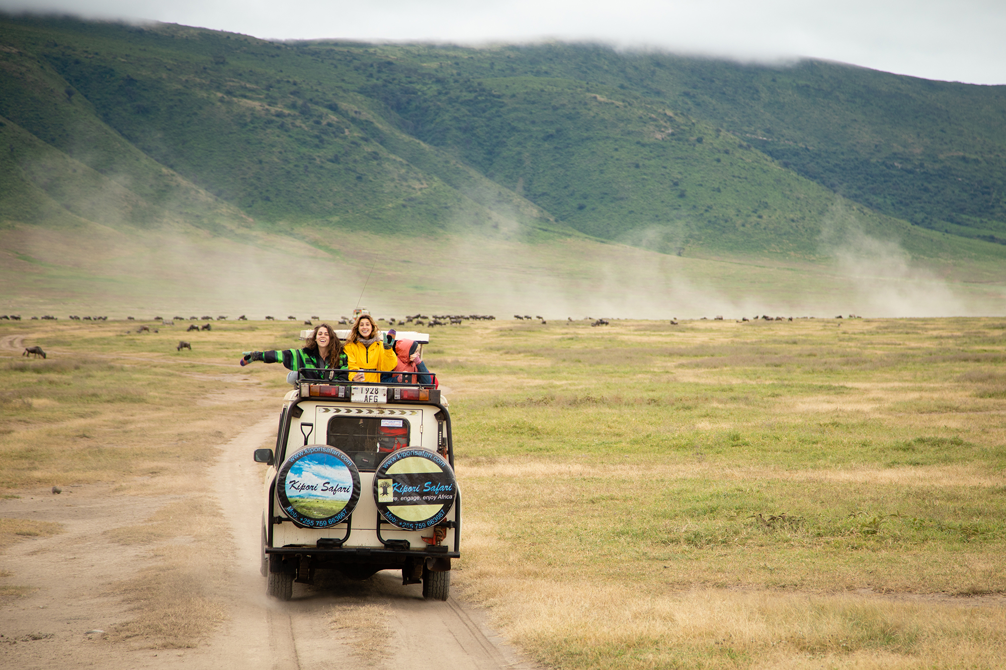 Students on safari as part of a faculty-led field study in Tanzania.