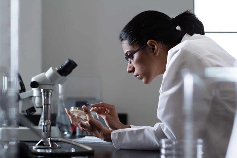 A biology student works with a microscope in a Rollins science lab.