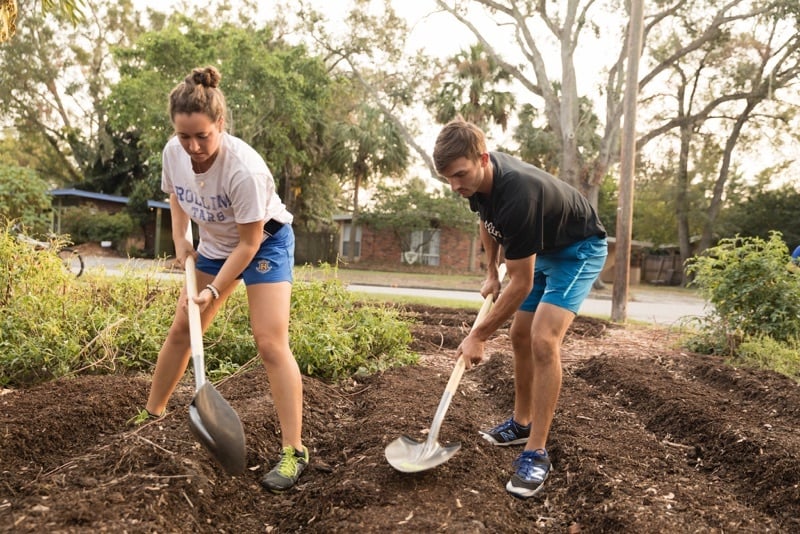 Two social entrepreneurship students turn a residential lawn into an urban micro-farm as part of a community engagement class.